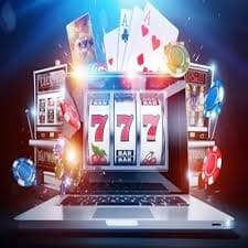 Dashboard program referral timurtogel menampilkan kode rujukan unik dan riwayat bonus rujukan